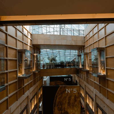 Image for choice number 3